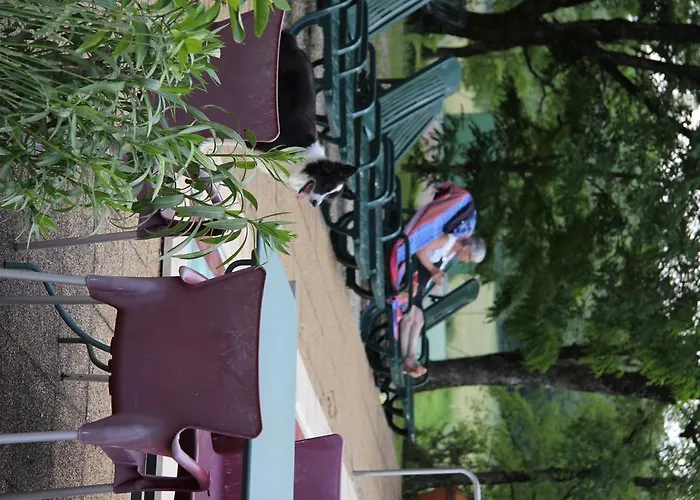 酒店 特鲁费埃尔酒店 2*