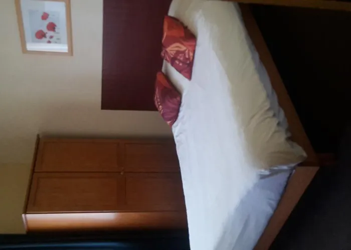 酒店 特鲁费埃尔酒店 2*